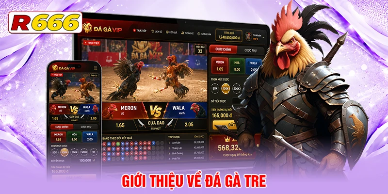 Tìm hiểu đá gà tre