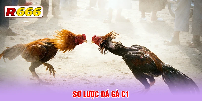 Sơ lược đá gà C1